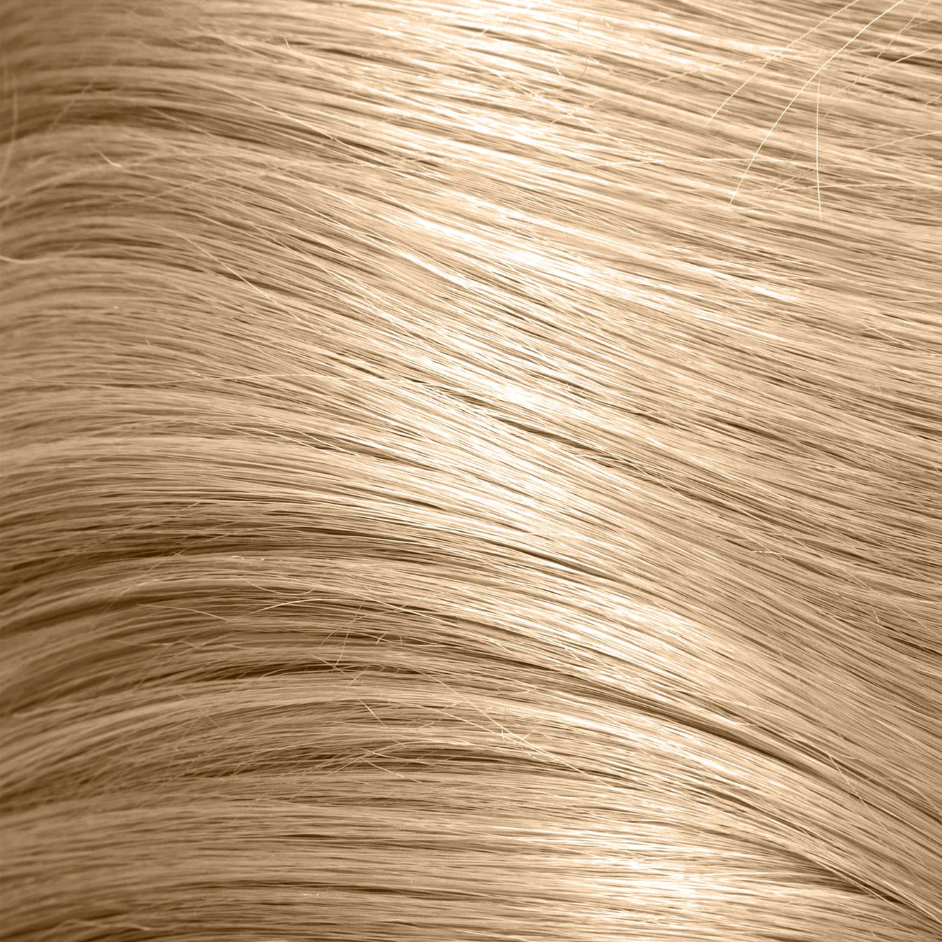 NEW Osmo Colour Revive