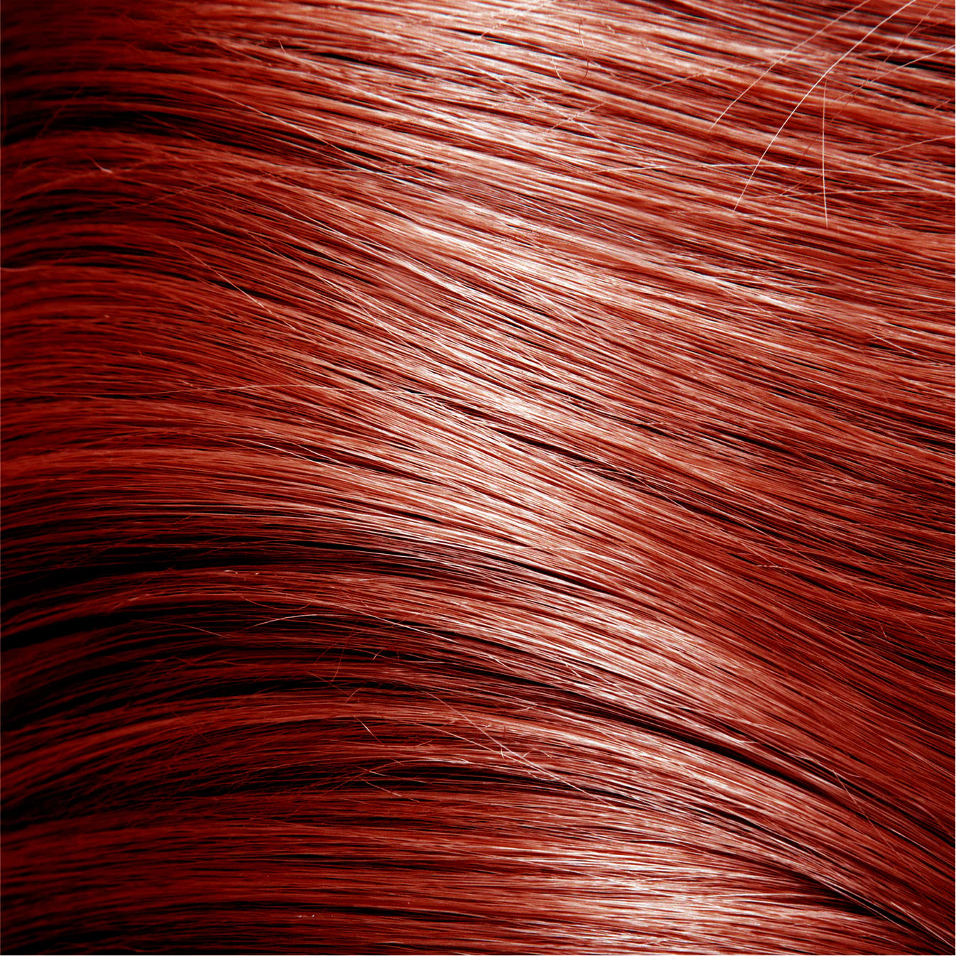 NEW Osmo Colour Revive