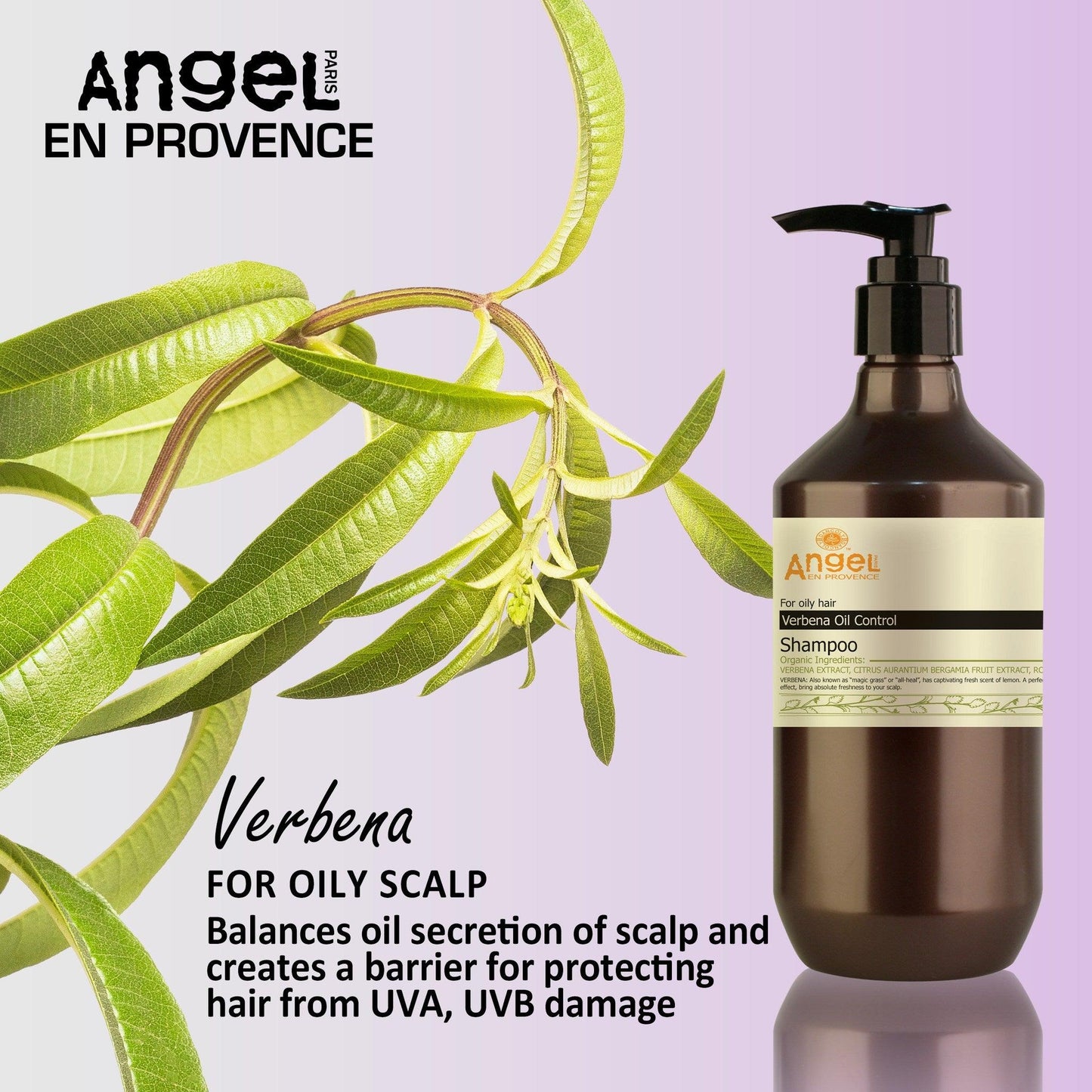 Angel En Provence Verbena Oil Control Shampoo - The Hair Department