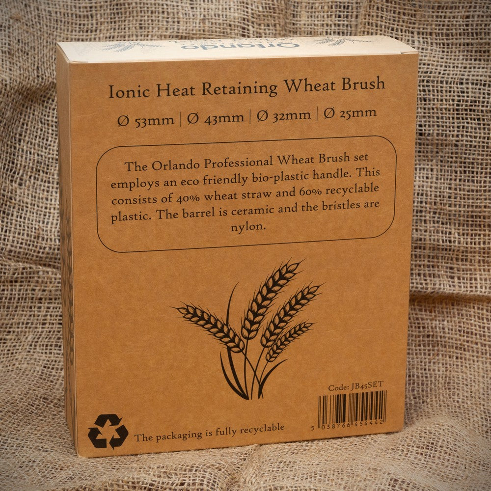 Wheat Brush Set of 4