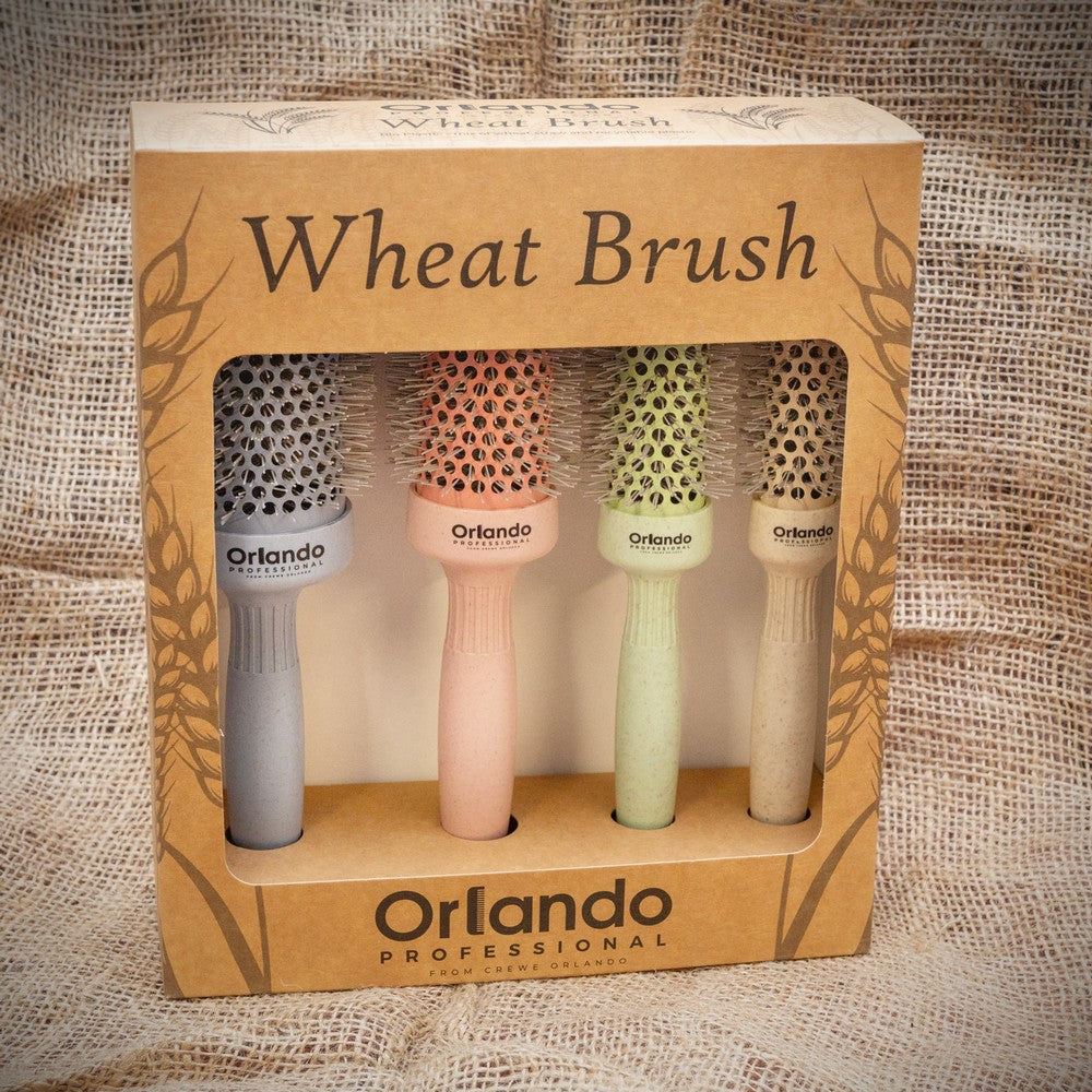 Wheat Brush Set of 4